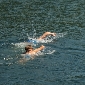 img_9515_