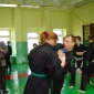 steffen2006_004.jpg