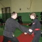 steffen2006_023.jpg